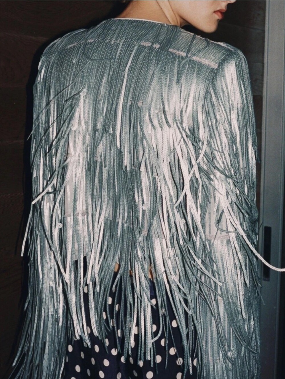 Sz S M ZARA 2026 ZW Collection Silver Grey Sequin Fringe Jacket 3210/040 Trendy - Picture 3 of 6